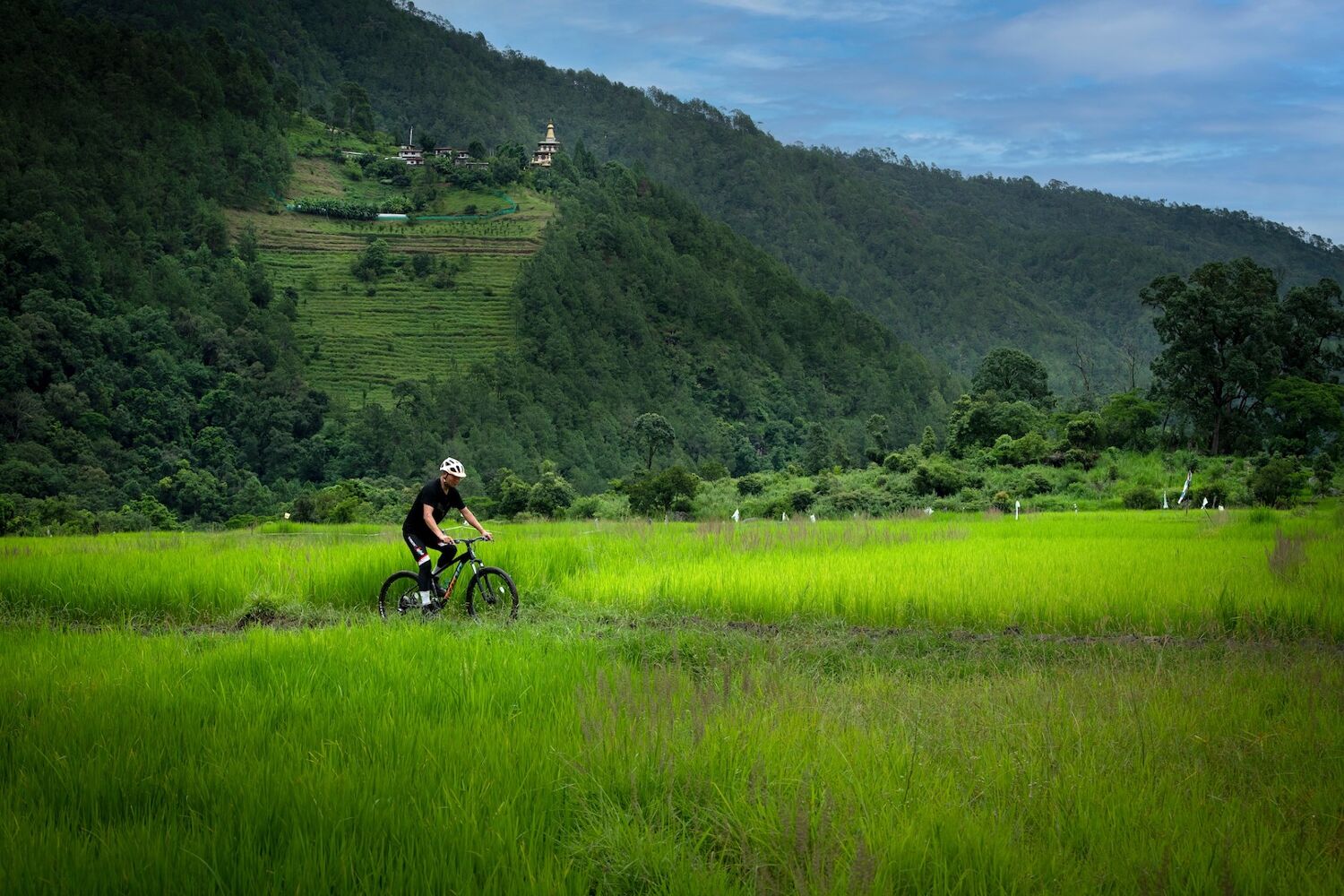 PlaceholderImage1302